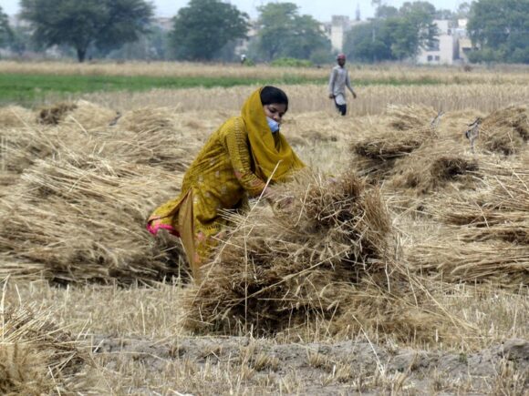 A Key Step towards Climate Resilience and Sustainable Farming