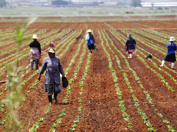 Gender Inequalities Amplify the Challenges Faced by Small Farmers in the Face of Climate Change.