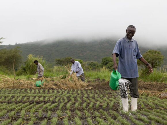 Climate Change’s Impact on Agricultural and Farming Jobs