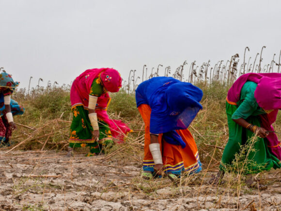 Empowering Women for Sustainable Food Security in Pakistan