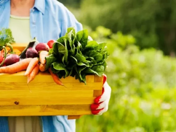 The Benefits of Organic Fruits and Vegetables