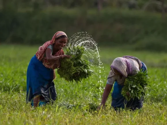 The Unique Challenges Faced by Women in Pakistan’s Agriculture Sector