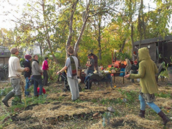 Fostering Climate Change Awareness through Urban Community Gardens