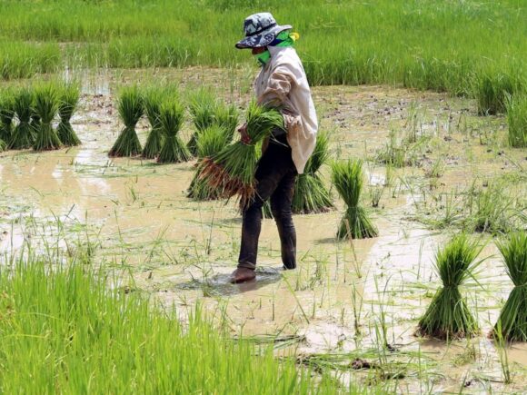 Understanding the Consequences, Seeking Solutions, and Ensuring Food Security for a Changing Climate