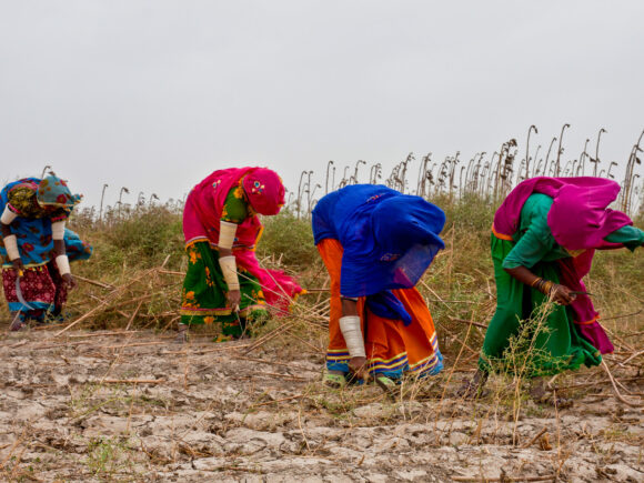 Role of human Rights welfare society Pakistan To Empowering Women in Rural Areas for Sustainable Development and Climate Action.