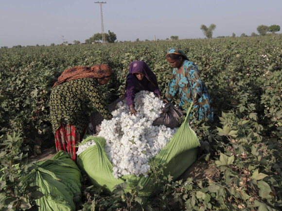 Effect of Climate Change on Agricultural Women